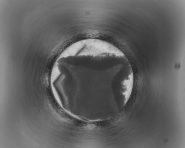 X0000111640598200908141409