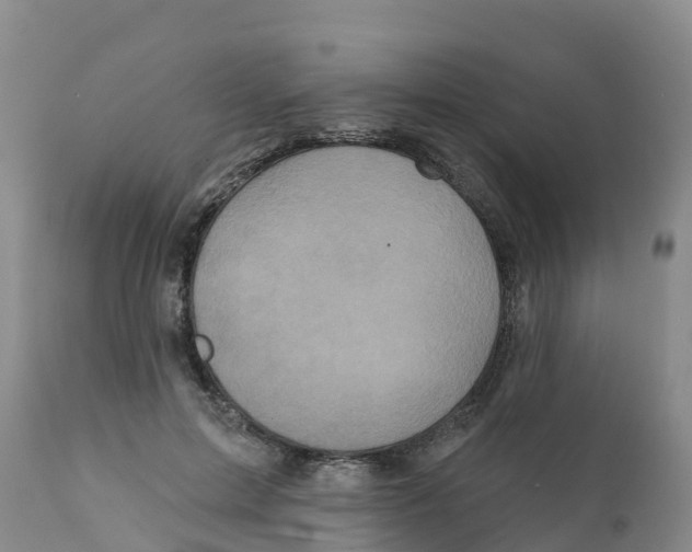 X0000111640599200908141409