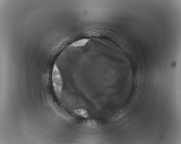 X0000111640600200908141409