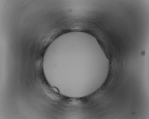 X0000111640601200908141409