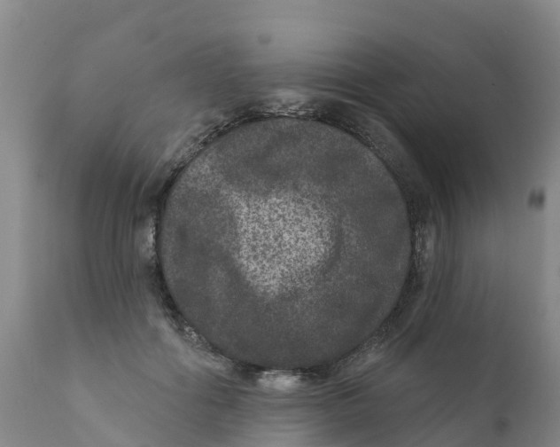X0000111640602200908141409