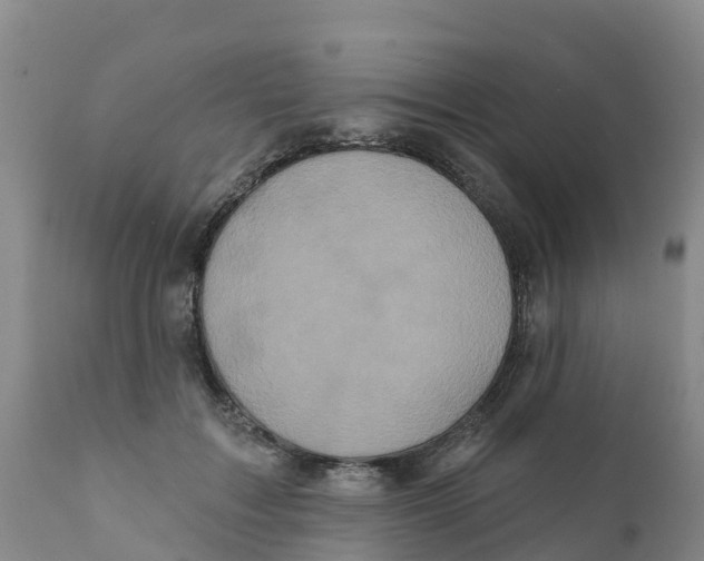 X0000111640603200908141409