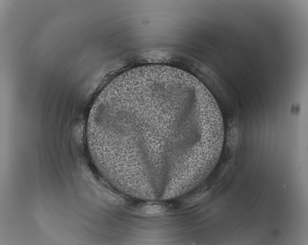 X0000111640604200908141409