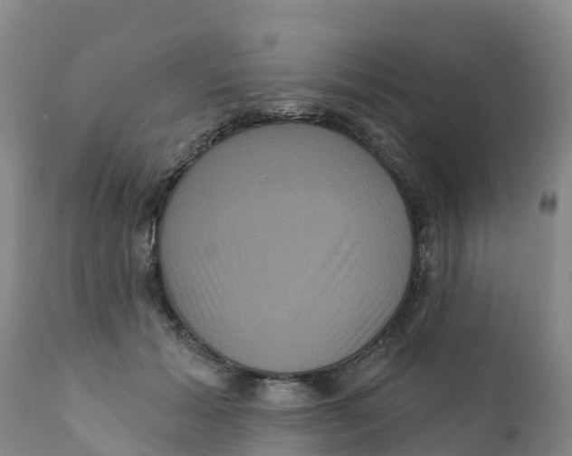 X0000111640605200908141409