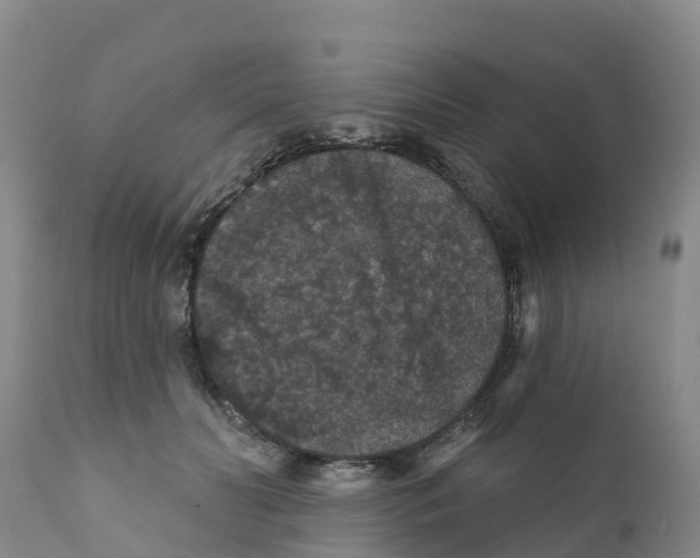 X0000111640606200908141409
