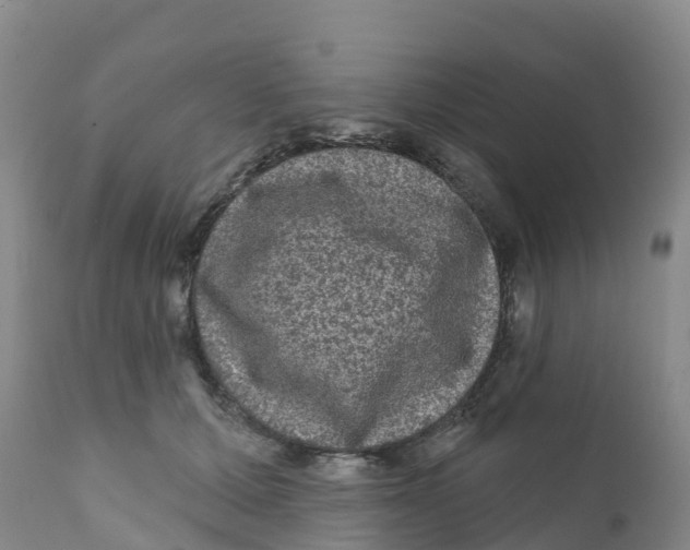 X0000111640607200908141409
