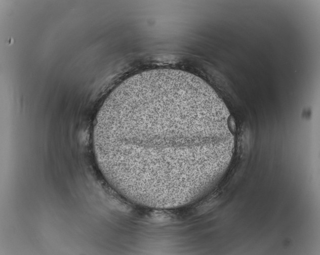 X0000111640608200908141409