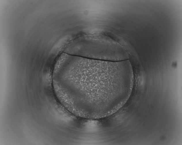 X0000111640609200908141409