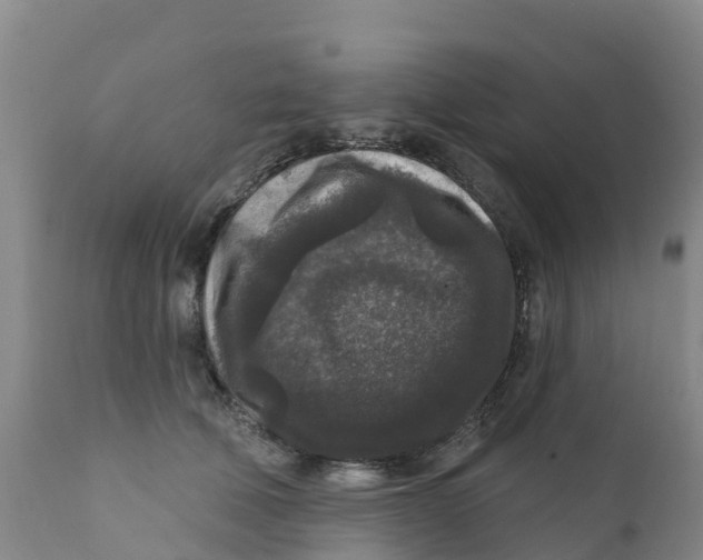 X0000111640610200908141409