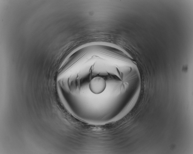 X0000111640611200908141409
