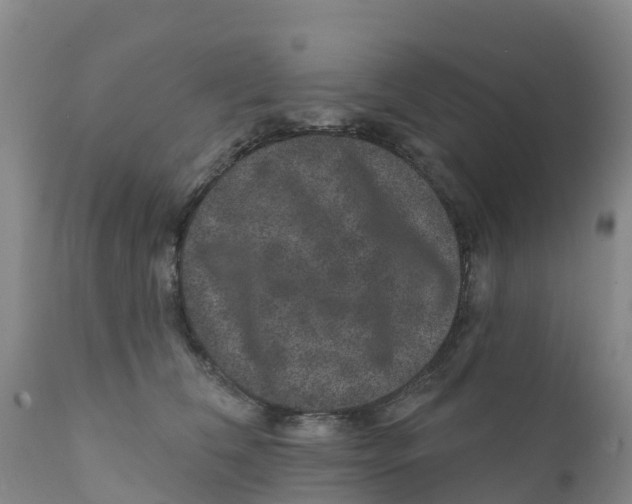 X0000111640612200908141409