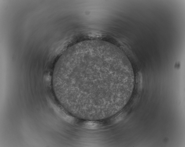 X0000111640614200908141409