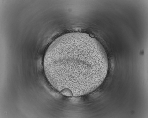 X0000111640615200908141409