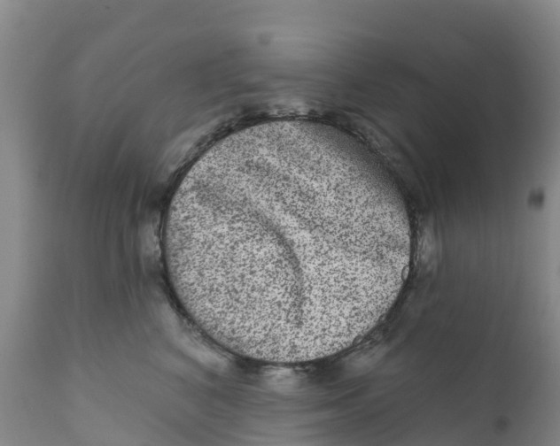 X0000111640616200908141409