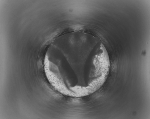 X0000111640618200908141409