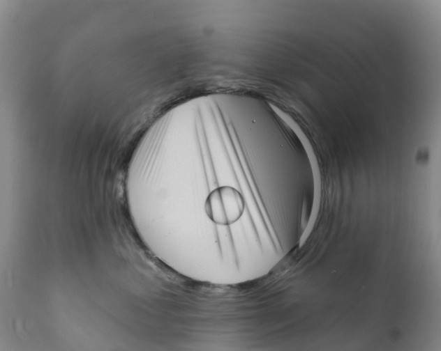 X0000111640621200908141409