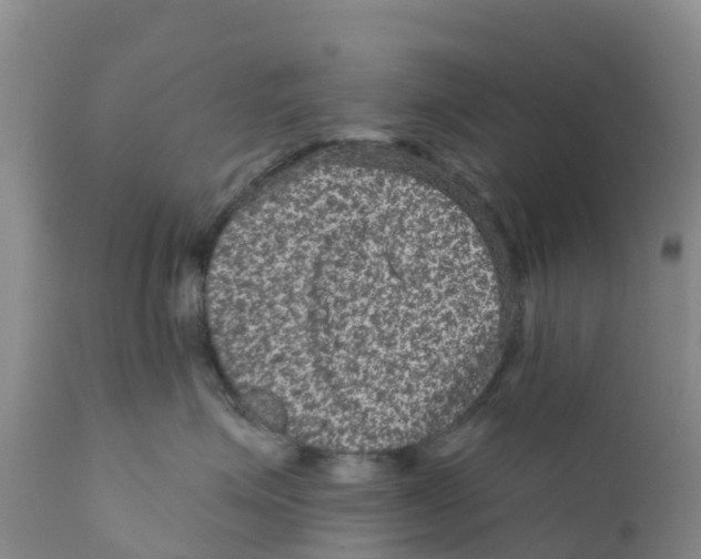 X0000111640623200908141409