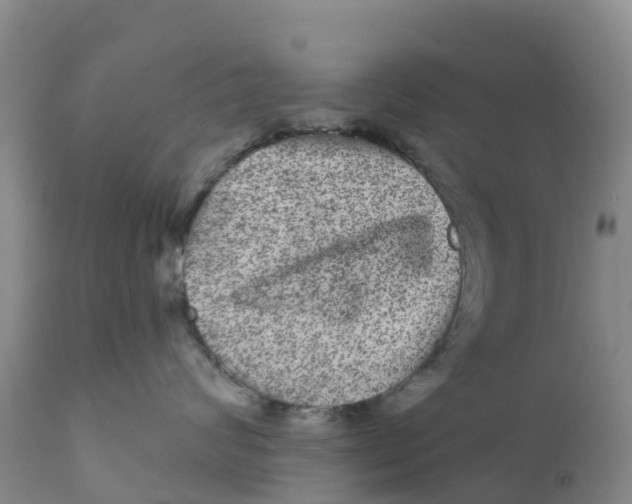 X0000111640624200908141409