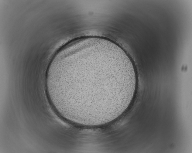 X0000111640625200908141408