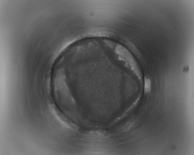 X0000111640627200908141408