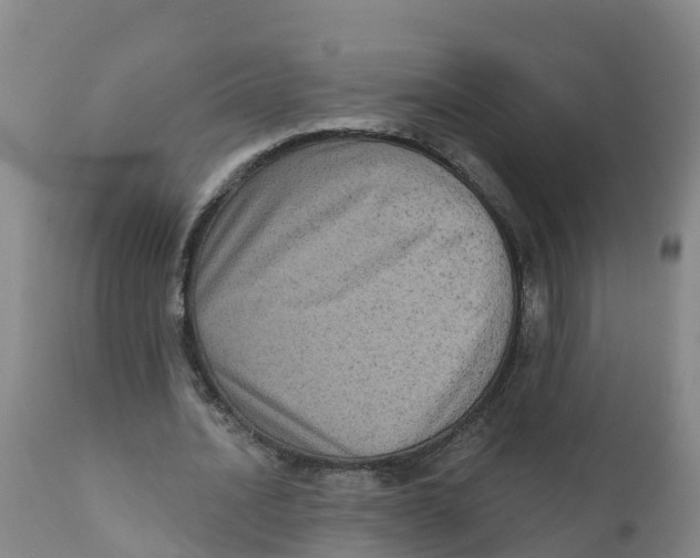 X0000111640628200908141408
