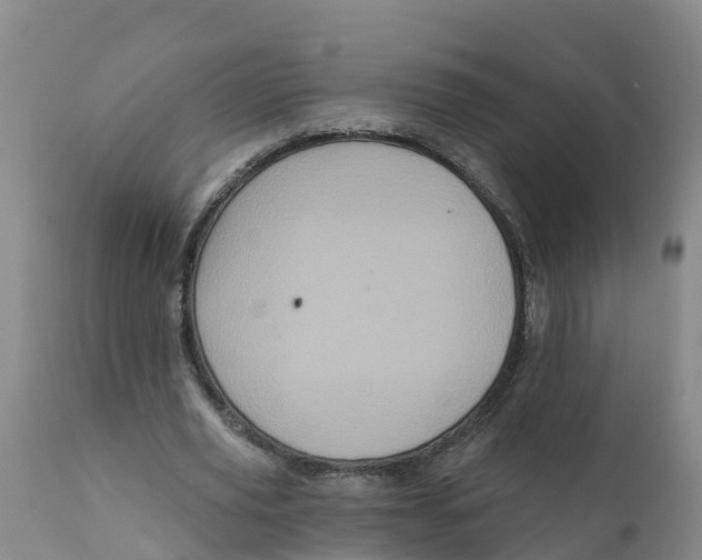 X0000111640629200908141408