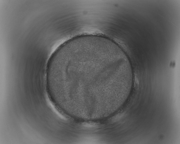 X0000111640630200908141408