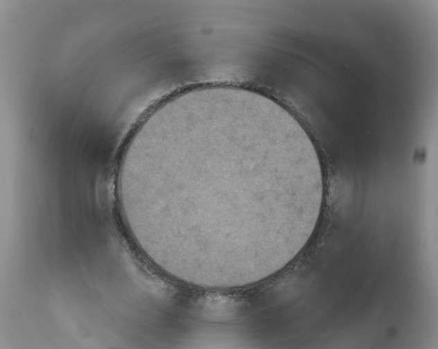 X0000111640632200908141408