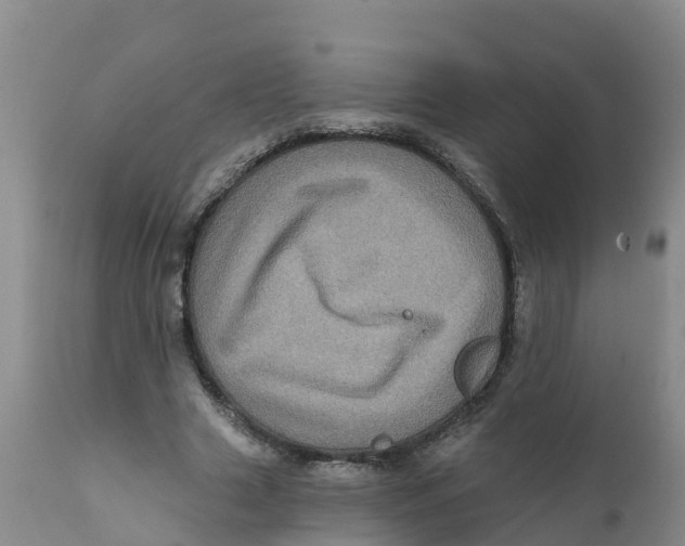 X0000111640633200908141408