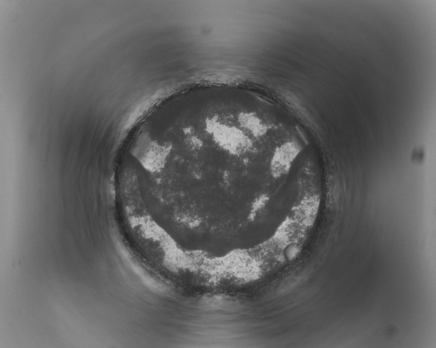 X0000111640634200908141408