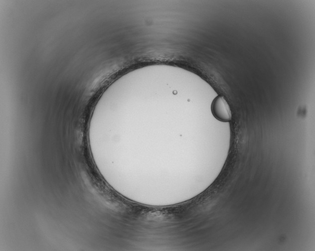 X0000111640635200908141408