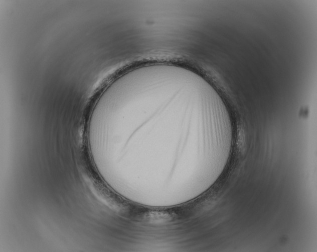 X0000111640636200908141408