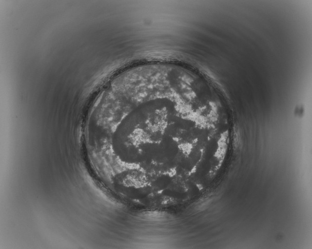 X0000111640637200908141408
