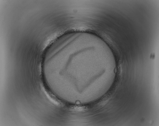 X0000111640638200908141408