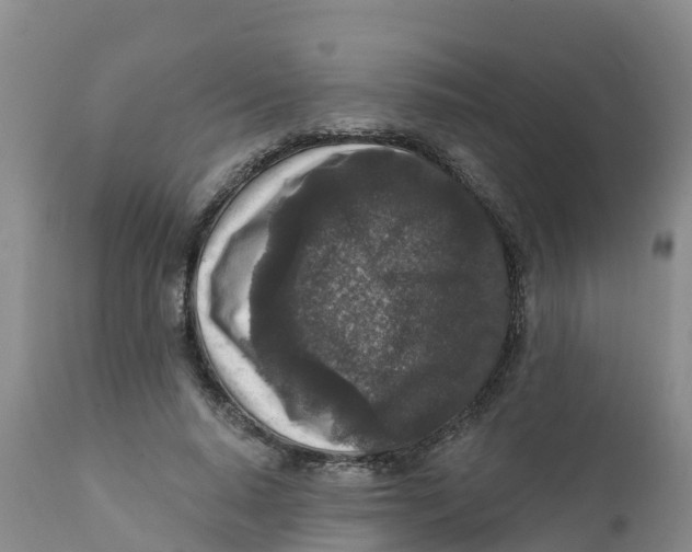 X0000111640640200908141408