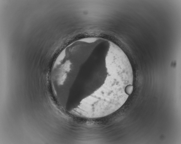 X0000111640641200908141408