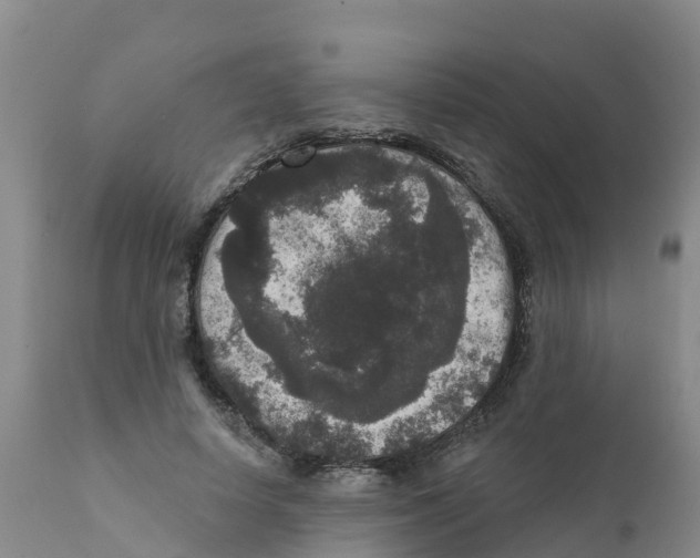 X0000111640642200908141408