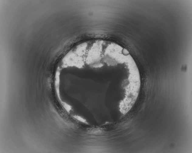X0000111640643200908141408