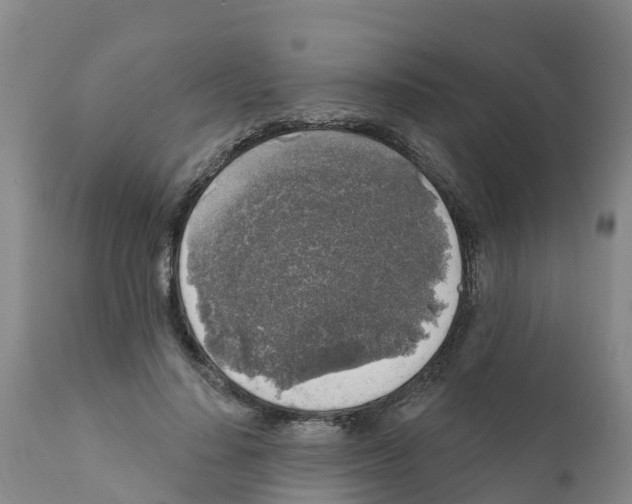 X0000111640644200908141408