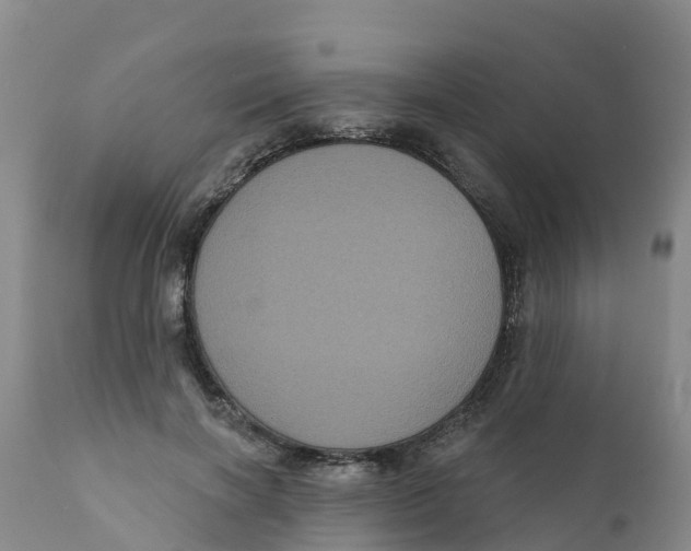 X0000111640646200908141408