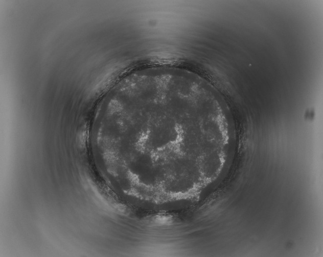 X0000111640647200908141408
