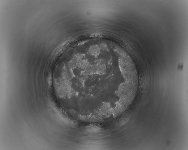 X0000111640648200908141408