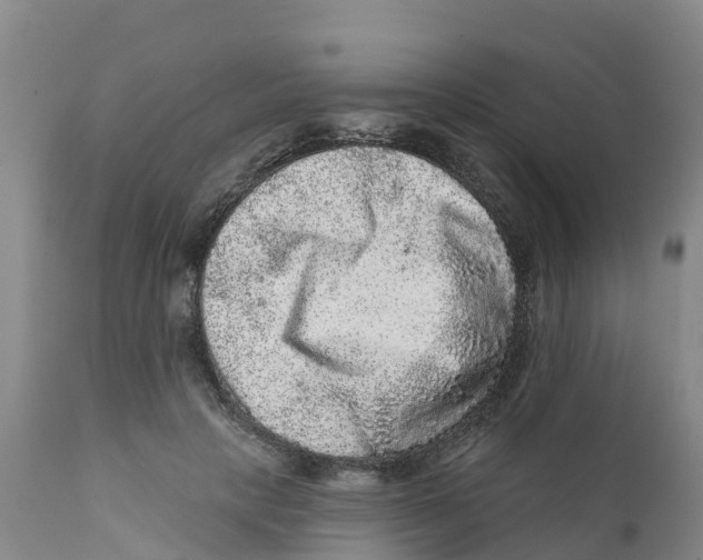 X0000111640649200908141408