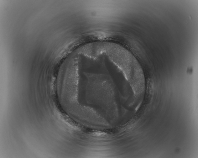 X0000111640650200908141408