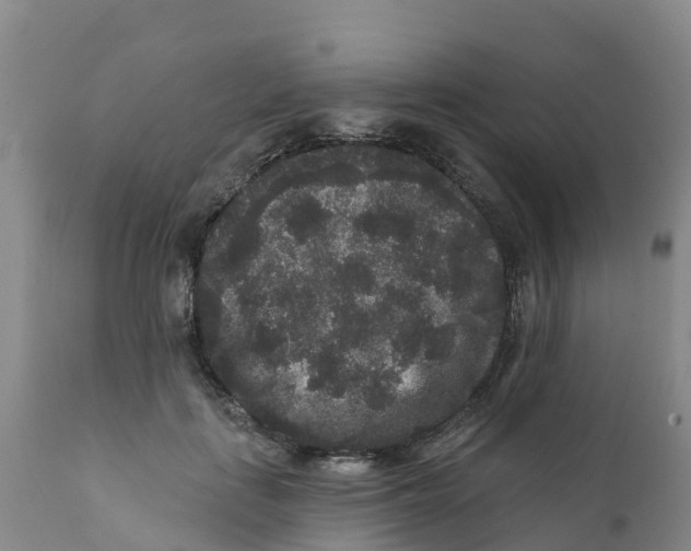 X0000111640651200908141408