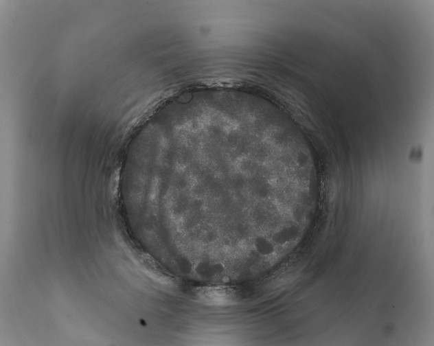 X0000111640652200908141408