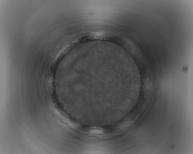 X0000111640653200908141408
