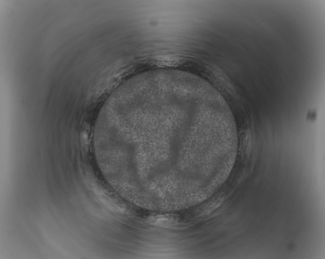 X0000111640655200908141408