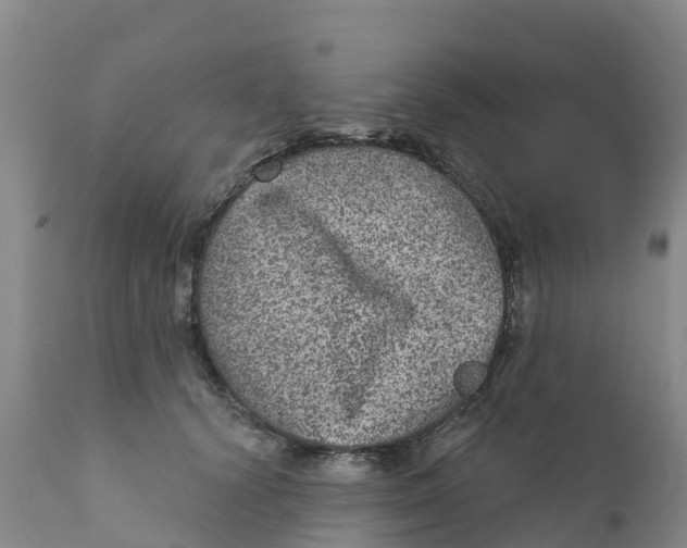 X0000111640656200908141408