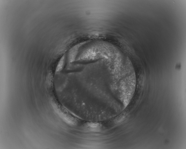 X0000111640659200908141408